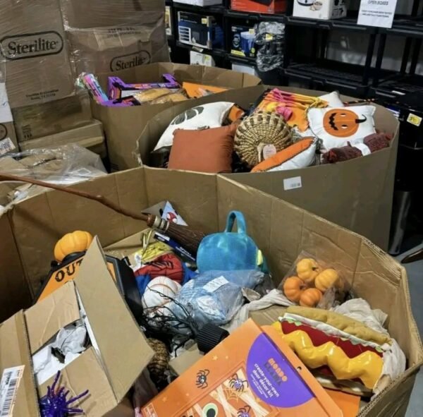 Halloween Liquidation Pallets - Image 2